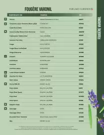 Catálogo Perfumes Europeos Página 33