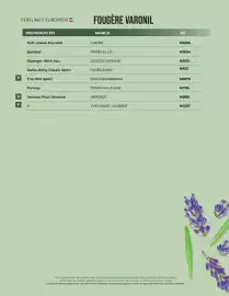 Catálogo Perfumes Europeos Página 34