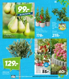 Bilka tilbudsavis uge 17 Side 9