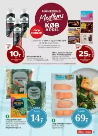 Dagli'Brugsen tilbudsavis Side 17