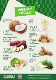 Amazing Oriëntal folder week 17 Pagina 1