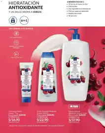 Catálogo Avon Página 143
