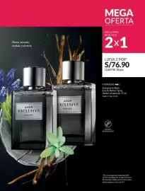 Catálogo Avon Página 91