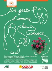 Volantino Conad Margherita Pagina 18