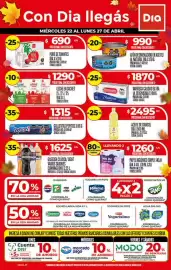Folleto Supermercados DIA semana 17 Página 1
