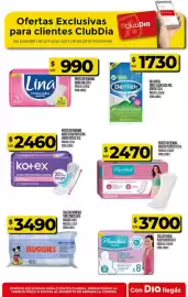 Folleto Supermercados DIA semana 17 Página 26
