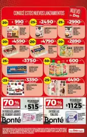 Folleto Supermercados DIA semana 17 Página 6
