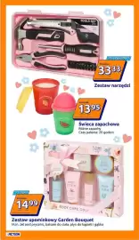 Action gazetka tydzień 17 Strona 10