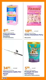 Action gazetka tydzień 17 Strona 25