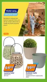 Action leták týden 17 Strana 17