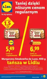 Lidl gazetka Strona 17