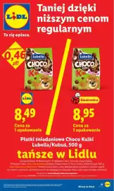 Lidl gazetka Strona 21