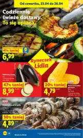 Lidl gazetka Strona 42