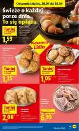 Lidl gazetka Strona 45