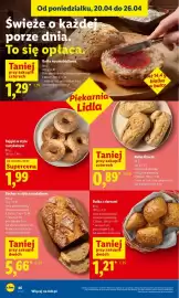 Lidl gazetka Strona 46