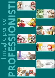 Volantino Altasfera Pagina 2