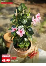 Kaufland gazetka tydzień 17 Strona 10