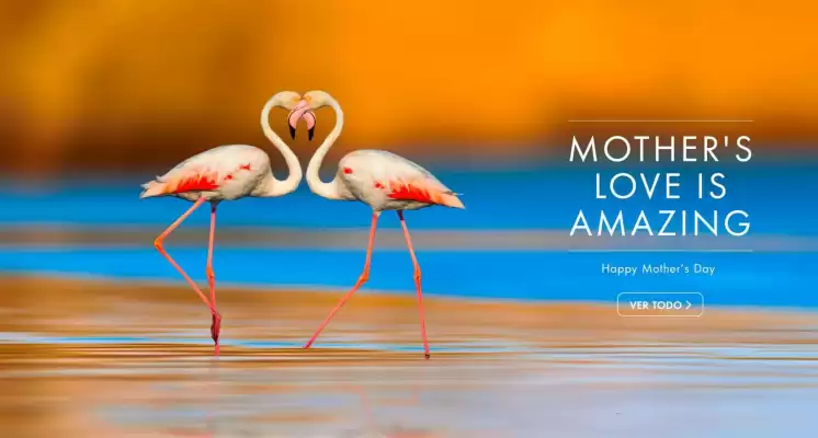 Rockford (válido hasta 10-05)