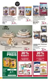 Dehner Flugblatt woche 17 Seite 14