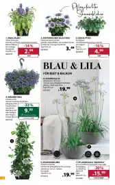 Dehner Flugblatt woche 17 Seite 2