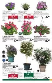 Dehner Flugblatt woche 17 Seite 3