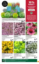 Dehner Flugblatt woche 17 Seite 5