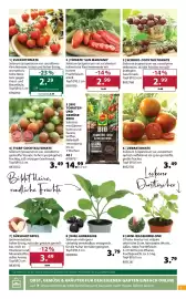 Dehner Flugblatt woche 17 Seite 7