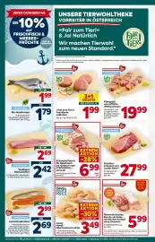 Billa Flugblatt woche 16 Seite 8