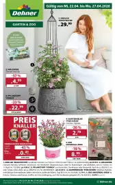 Dehner Prospekt woche 17 Seite 1