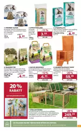 Dehner Prospekt woche 17 Seite 13