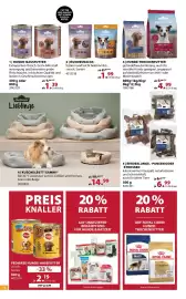 Dehner Prospekt woche 17 Seite 14