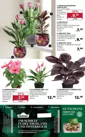 Dehner Prospekt woche 17 Seite 16