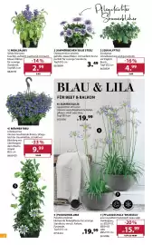 Dehner Prospekt woche 17 Seite 2