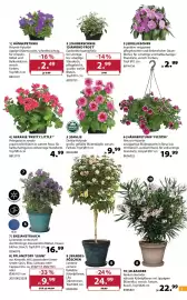 Dehner Prospekt woche 17 Seite 3