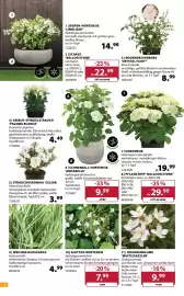 Dehner Prospekt woche 17 Seite 4