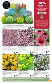 Dehner Prospekt woche 17 Seite 5