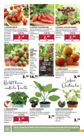 Dehner Prospekt woche 17 Seite 7