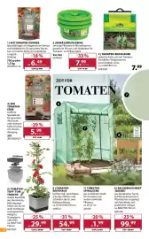 Dehner Prospekt woche 17 Seite 8