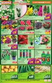Catalogue Norma semaine 18 page 4