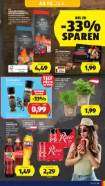 Hofer Flugblatt woche 17 Seite 13