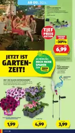 Hofer Flugblatt woche 17 Seite 30