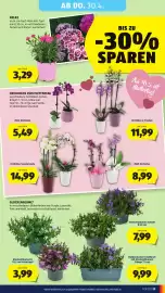 Hofer Flugblatt woche 17 Seite 31