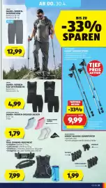 Hofer Flugblatt woche 17 Seite 33