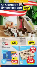 Hofer Flugblatt woche 17 Seite 8