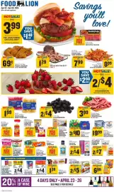 Food Lion weekly ad week 17 Page 1