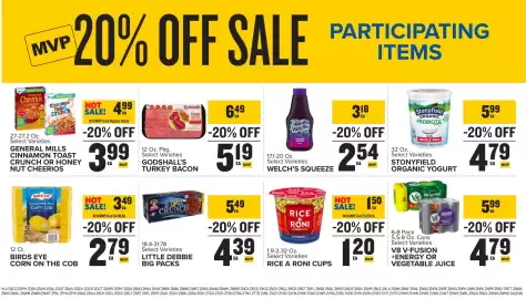 Food Lion weekly ad week 17 Page 13