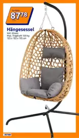 Action Prospekt woche 17 Seite 13