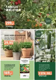 Plantorama tilbudsavis Side 2