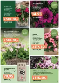 Plantorama tilbudsavis Side 3