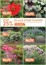 Plantorama tilbudsavis Side 5